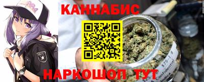 дмт Аргун