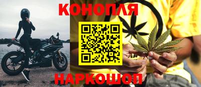 дмт Аргун