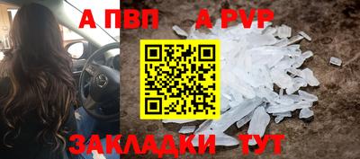 дмт Аргун